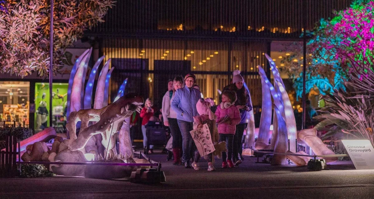 Illuminate Adelaide 2025 | What to see with your kids