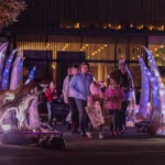 Illuminate Adelaide 2025 | What to see with your kids