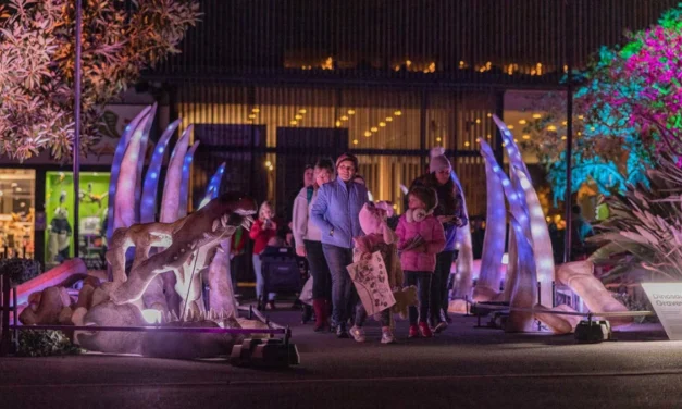 Illuminate Adelaide 2025 | What to see with your kids
