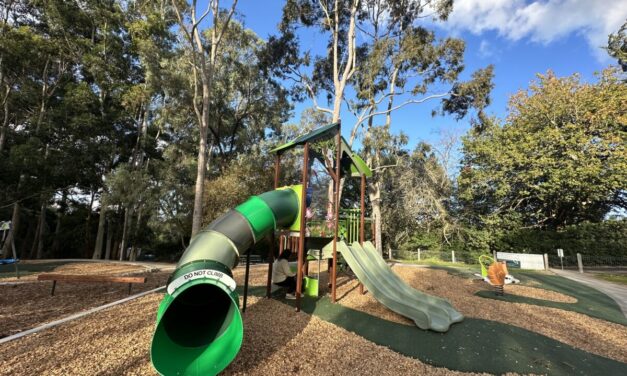 Protea Reserve Playground, Crafers