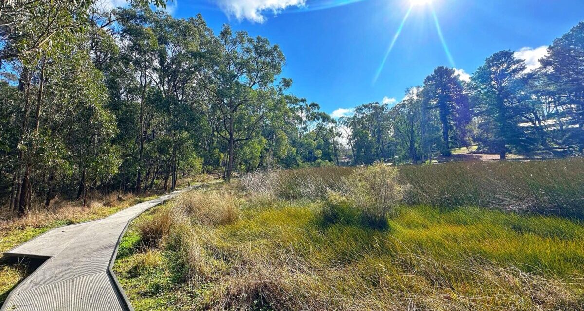 Woorabinda Bushland Reserve, Stirling | Kids In Adelaide | Activities ...