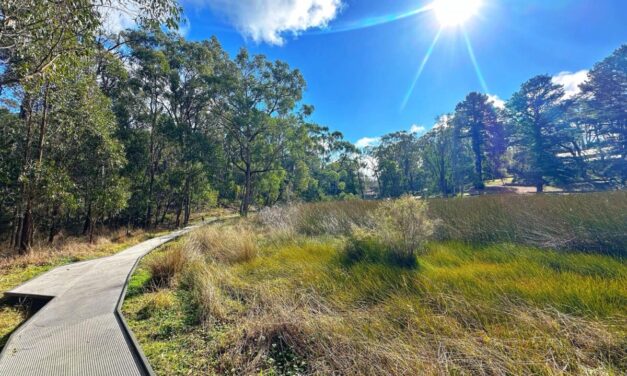 Woorabinda Bushland Reserve, Stirling