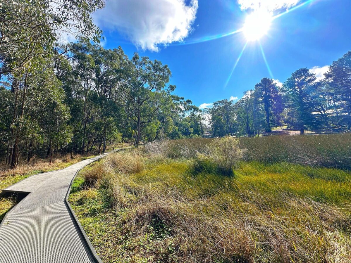 Woorabinda Bushland Reserve – Stirling