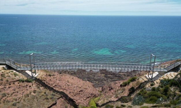 Hallett Cove Coastal Boardwalk Bridges