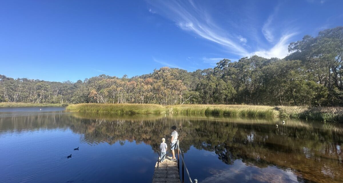 Woorabinda Bushland Reserve, Stirling