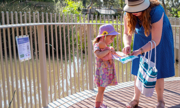 Treasure Hunt at Kensington Gardens Reserve