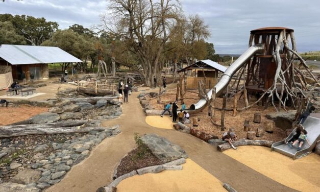 Glenthorne National Park Adventure Playground