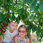 @Birdwood Pick Your Own Cherries, Adelaide Hills