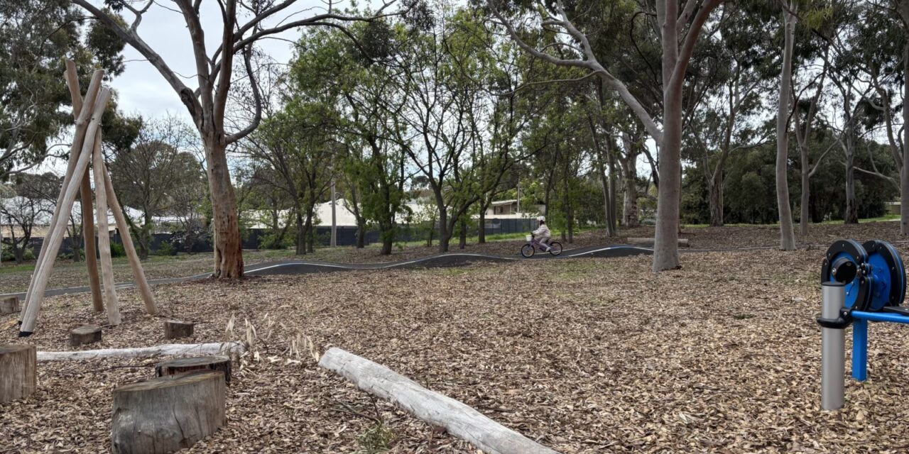 Dewer Reserve Playground, Ridgehaven