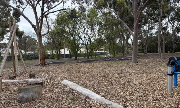 Dewer Reserve Playground, Ridgehaven