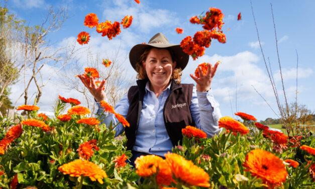 Fill your cup at Wellness wander in the Adelaide Hills