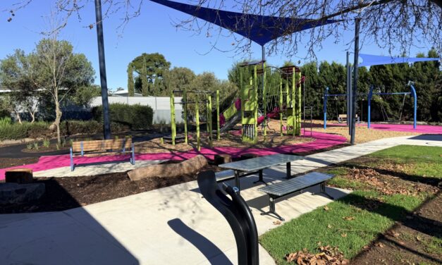 Matthews Park Playground, Prospect