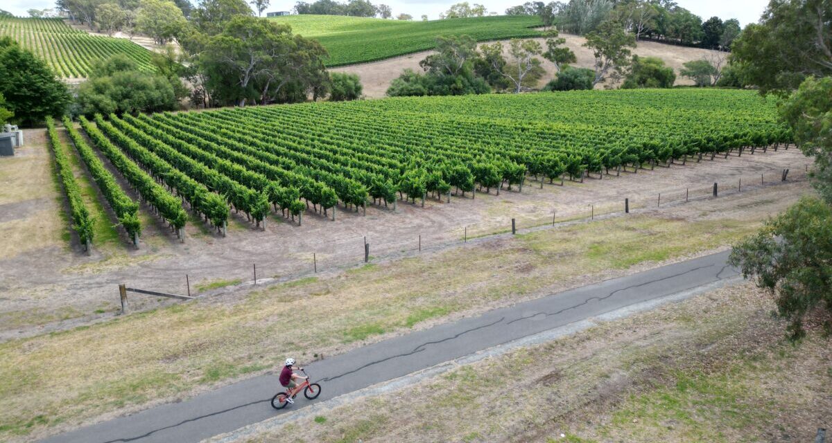 Amy Gillett Bikeway