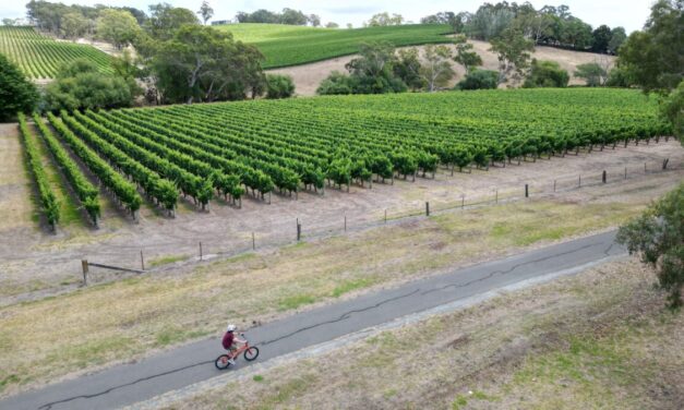 Amy Gillett Bikeway