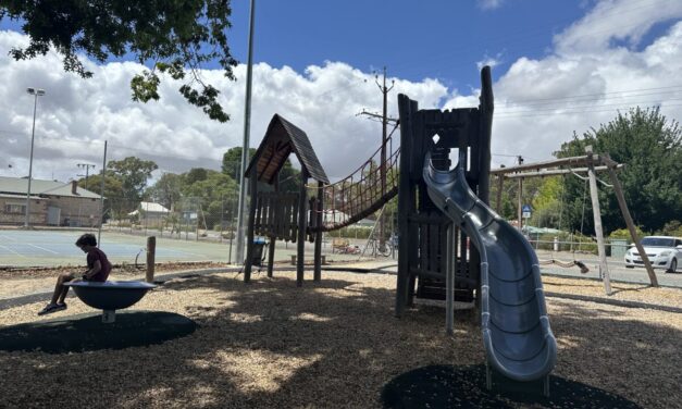 Charleston Playground