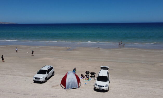 Drive On Beaches in Adelaide and South Australia