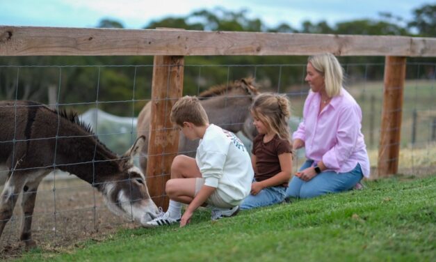 Main and Cherry Cellar Door