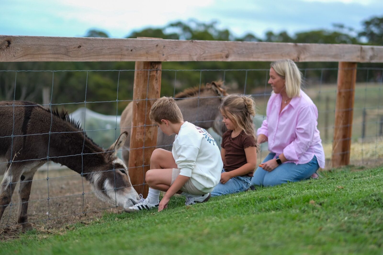 Main and Cherry Cellar Door