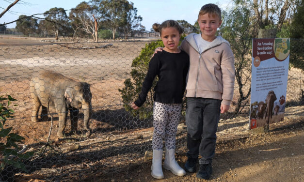 Monarto Safari Park