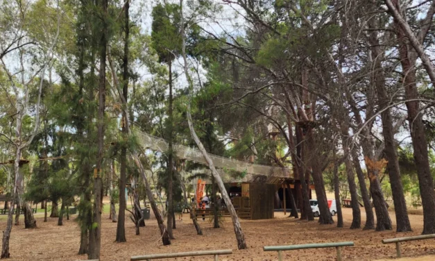 TreeClimb Salisbury, Harry Bowey Reserve