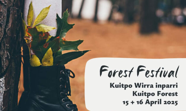 Forest Festival – Nature Play SA