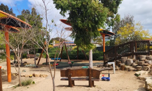 Jervois Street Reserve Playground South Plympton