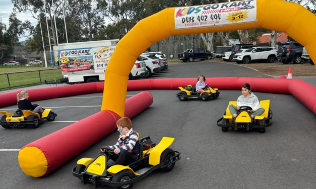 Kids Go Kart Hire Birthday Parties