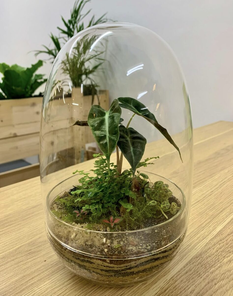 Helen's Mini Worlds