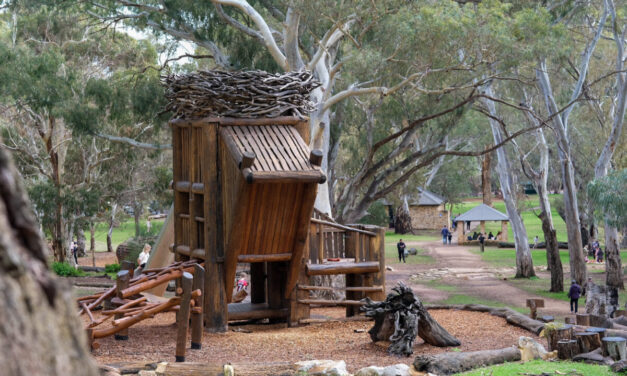 Morialta Mukanthi Conservation Park Playground