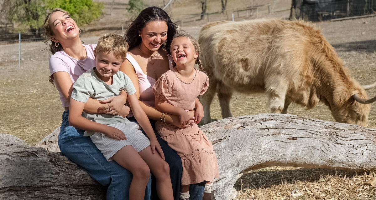 Cuddle a Cow – The Farm, Clarendon