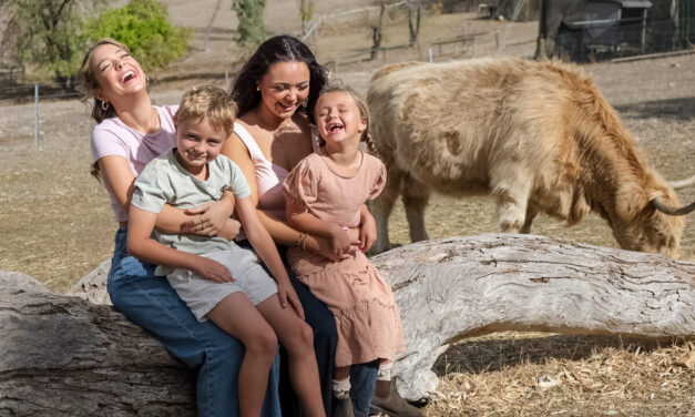 Cuddle a Cow – The Farm, Clarendon