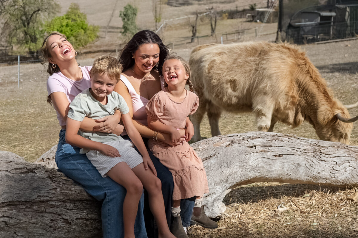 Cuddle a Cow – The Farm, Clarendon