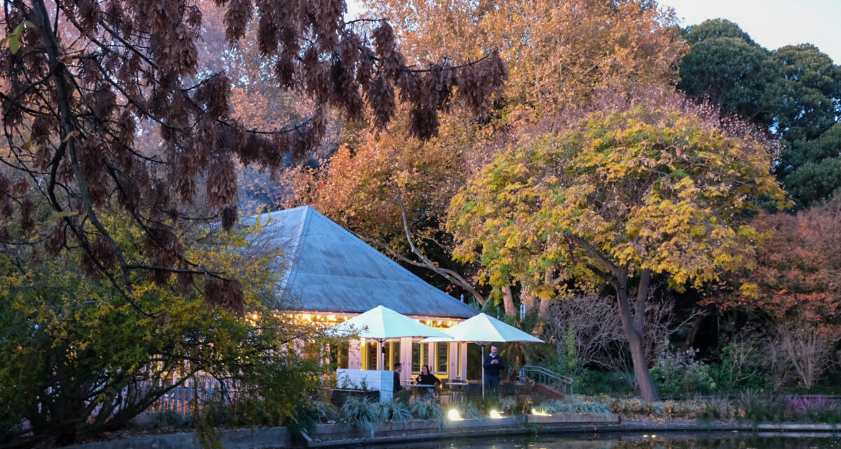 The Lodge, Adelaide Botanic Gardens