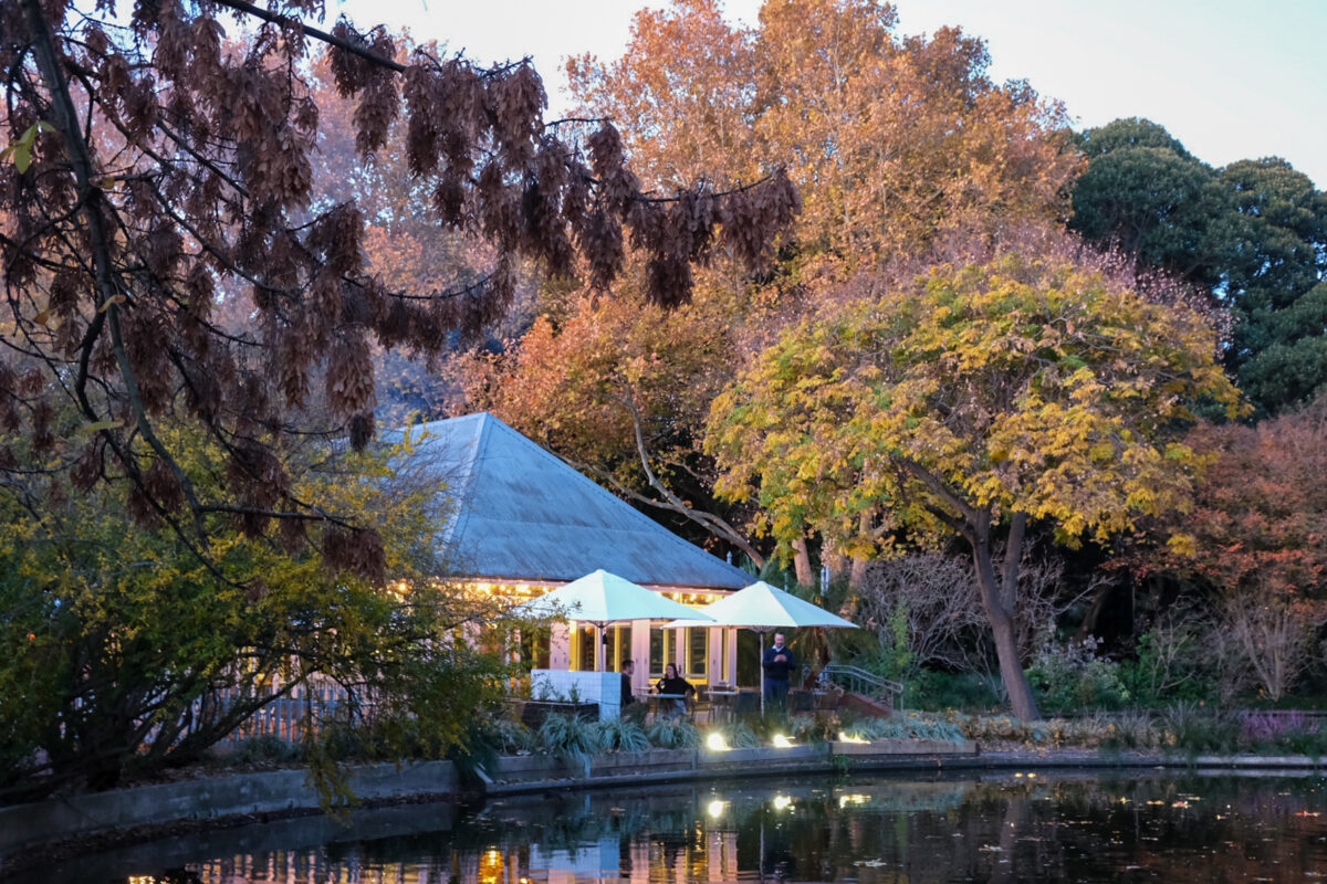 The Lodge, Adelaide Botanic Gardens