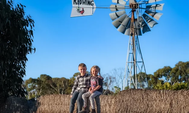 Redwing Farm, Moonta, Yorke Peninsula