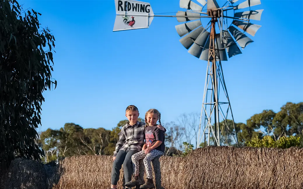Redwing Farm, Moonta, Yorke Peninsula
