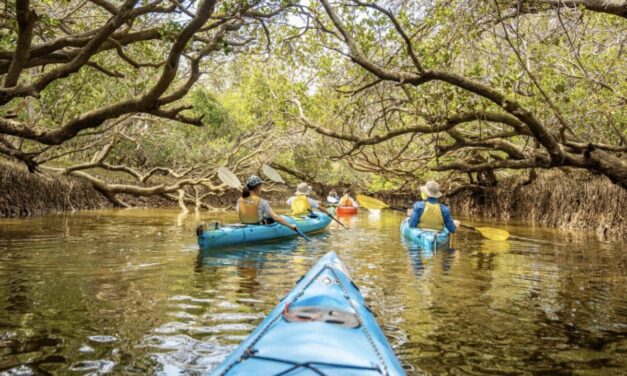 Adventure Kayaking SA