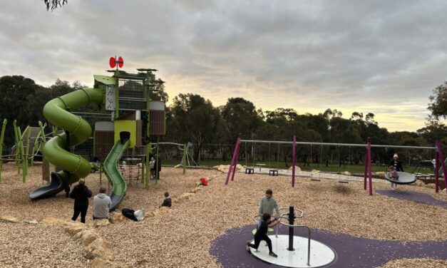 CC Hood Reserve Playground Panorama
