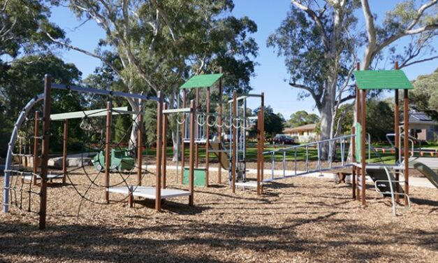 Dalston Reserve Playground Modbury
