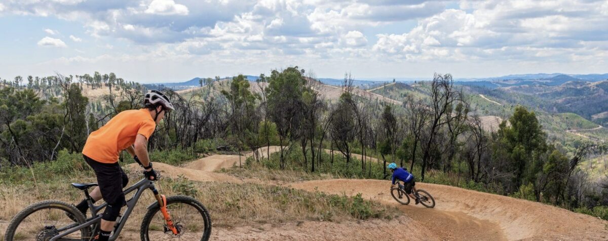 Fox Creek Bike Park
