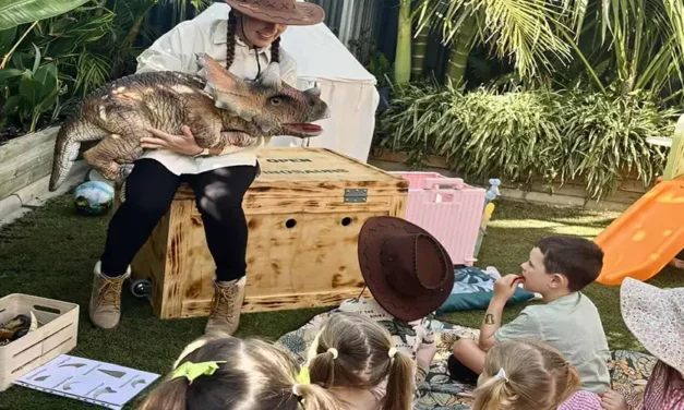 Dino Rangers Birthday Parties Adelaide