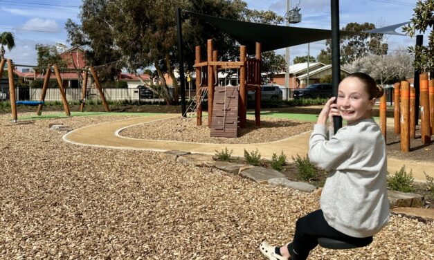 Frank Norton Reserve Playground, Torrensville