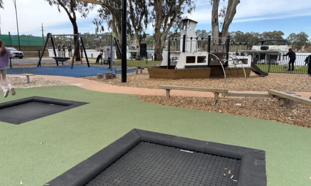 Mary Ann Reserve Playground, Mannum