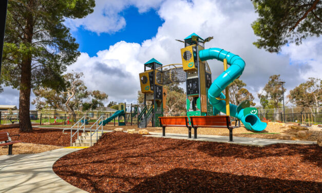McGlip Recreation Park Playground, One Tree Hill