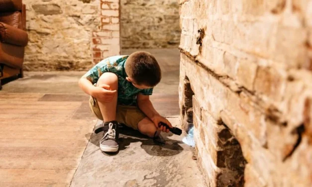 Discover History Beneath the Streets of Adelaide: Old Treasury & Tunnels Adventure!