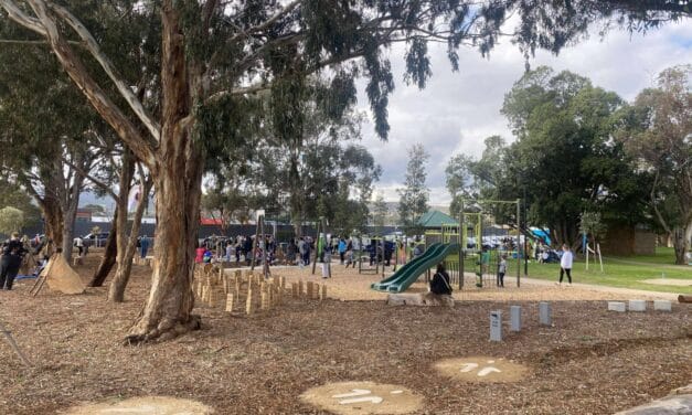 Graham Watts Reserve Playground, Clovelly Park