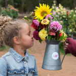 Where to Go Flower Picking in Adelaide: Best Farms, Fields & Seasonal Spots