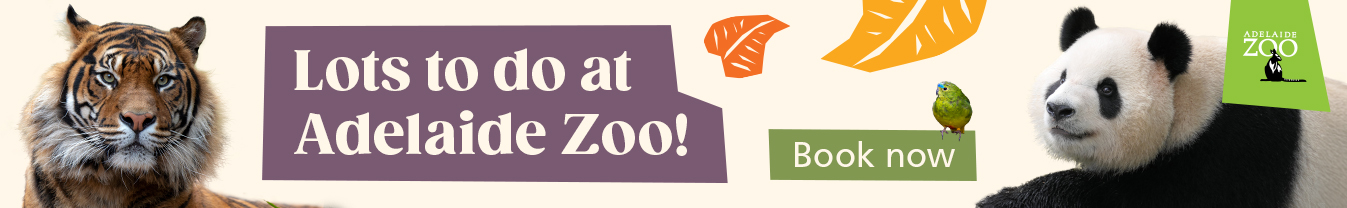 Adelaide Zoo Feb Banner