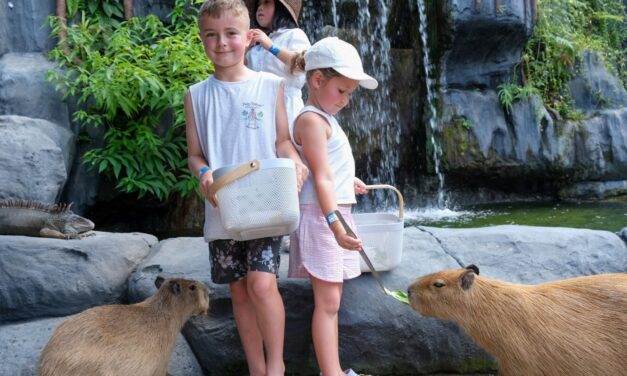 Family Fun in Bali