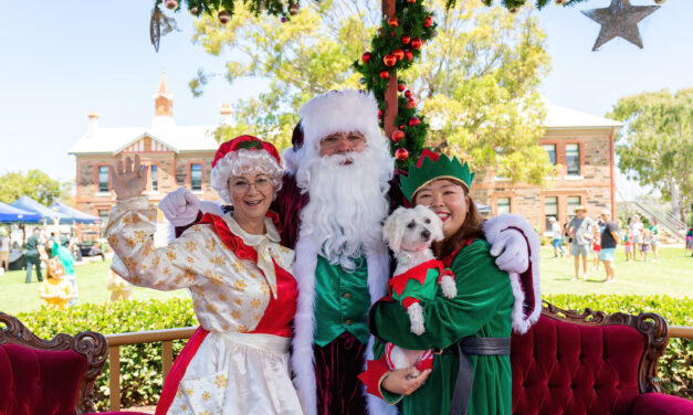 Minda Community Christmas Carols and Markets